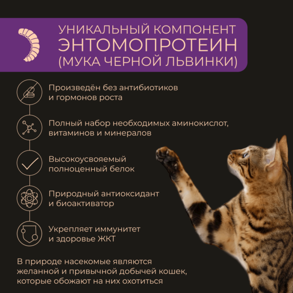 Сухой корм с индейкой и артишоком для кошек с чувствительным пищеварением, 1,5 кг - Yumster frame 221